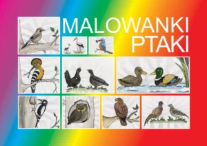 "Malowanki Ptaki"