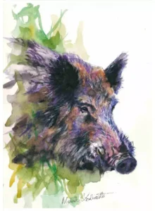 Grafiki Mariusza Kędzierskiego "DZIK"