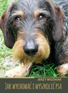 Jak wychować i wyszkolić psa