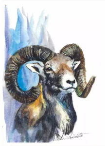 Grafiki Mariusza Kędzierskiego "MUFLON"