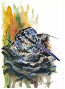 Grafiki Mariusza Kędzierskiego "SŁONKA"