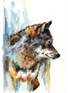 Grafiki Mariusza Kędzierskiego "WILK"