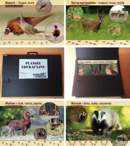 Plansze edukacyjne