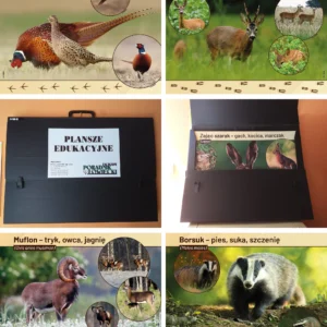 Plansze i tablice edukacyjne